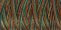 RAYON 40, OMBRE/MULTICOLOUR 2210 DK. GREEN/BROWN/BURGUNDY/LT.BROWN