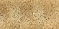 POLY SPARKLE 30, KLEUR 0905 GOLD WITH GOLD SPARKLE
